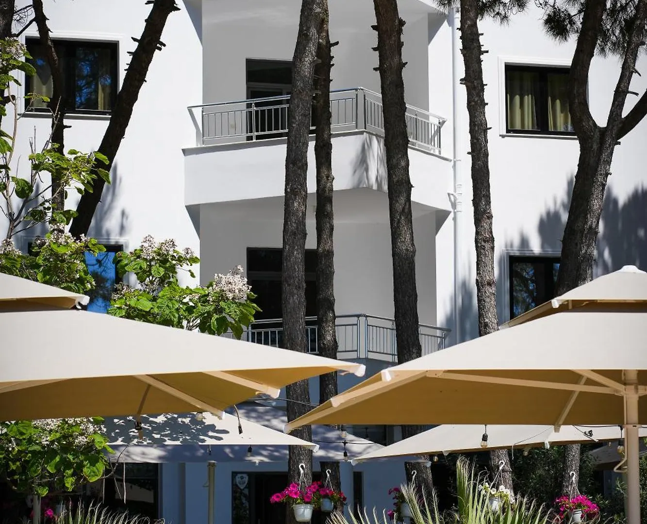 Hotel Andi Kryemedhej